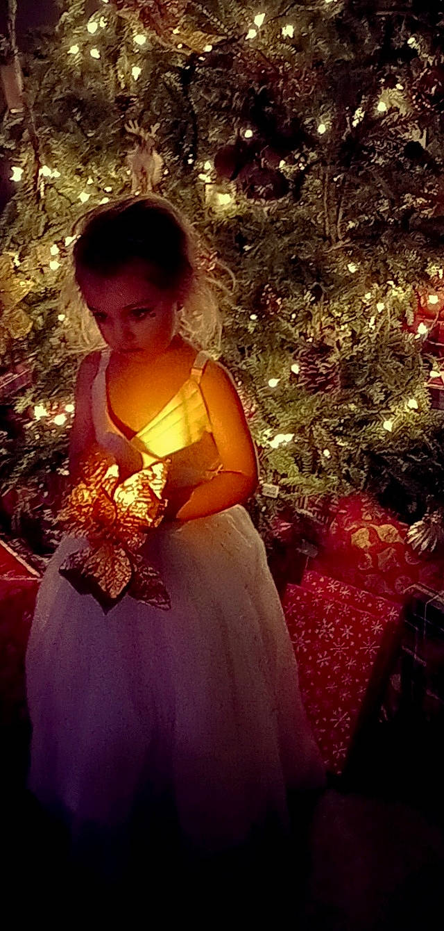 Elyse is registered to the contest to win money with this photo: bridal_clothing, bridal_party_dress, christmas_decoration, christmas_ornament, christmas_tree, dress, event, fashion_design, flash_photography, formal_wear, gown, happy, holiday_ornament, long_hair, magenta, ornament, people, person, plant, standing