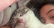 Goobert joined the competition — help win amazing prizes! cat, person, sleeping, cuddle, blanket, pillow, cozy, indoor, fur, whiskers, relaxation, nap, closeup, comfort, pet, rest, cute, soft, home, companion