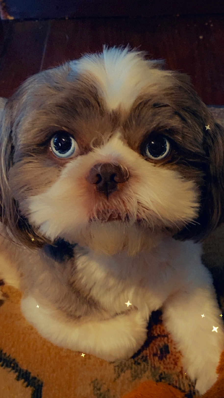 Wyatt