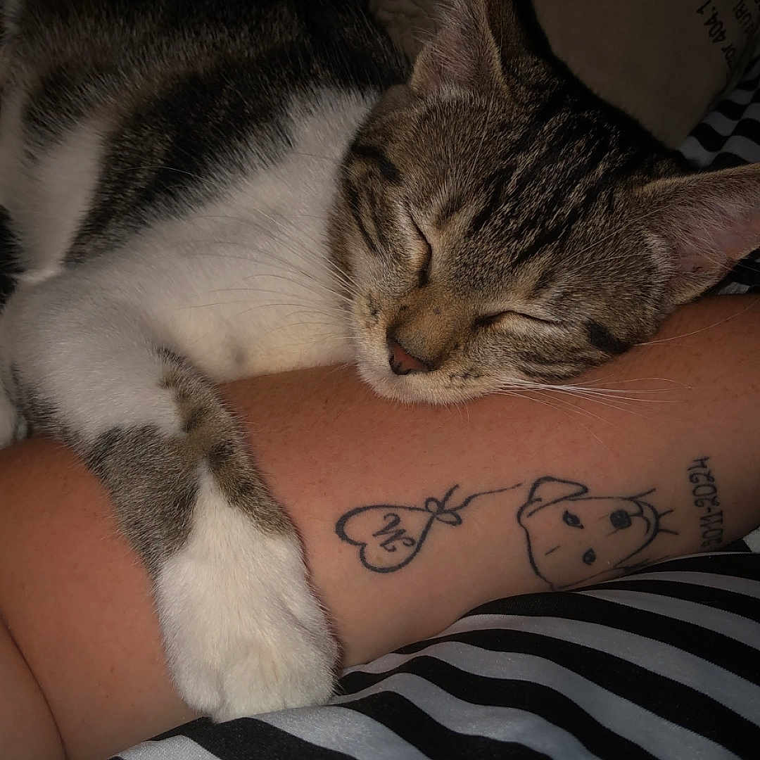 Rubi