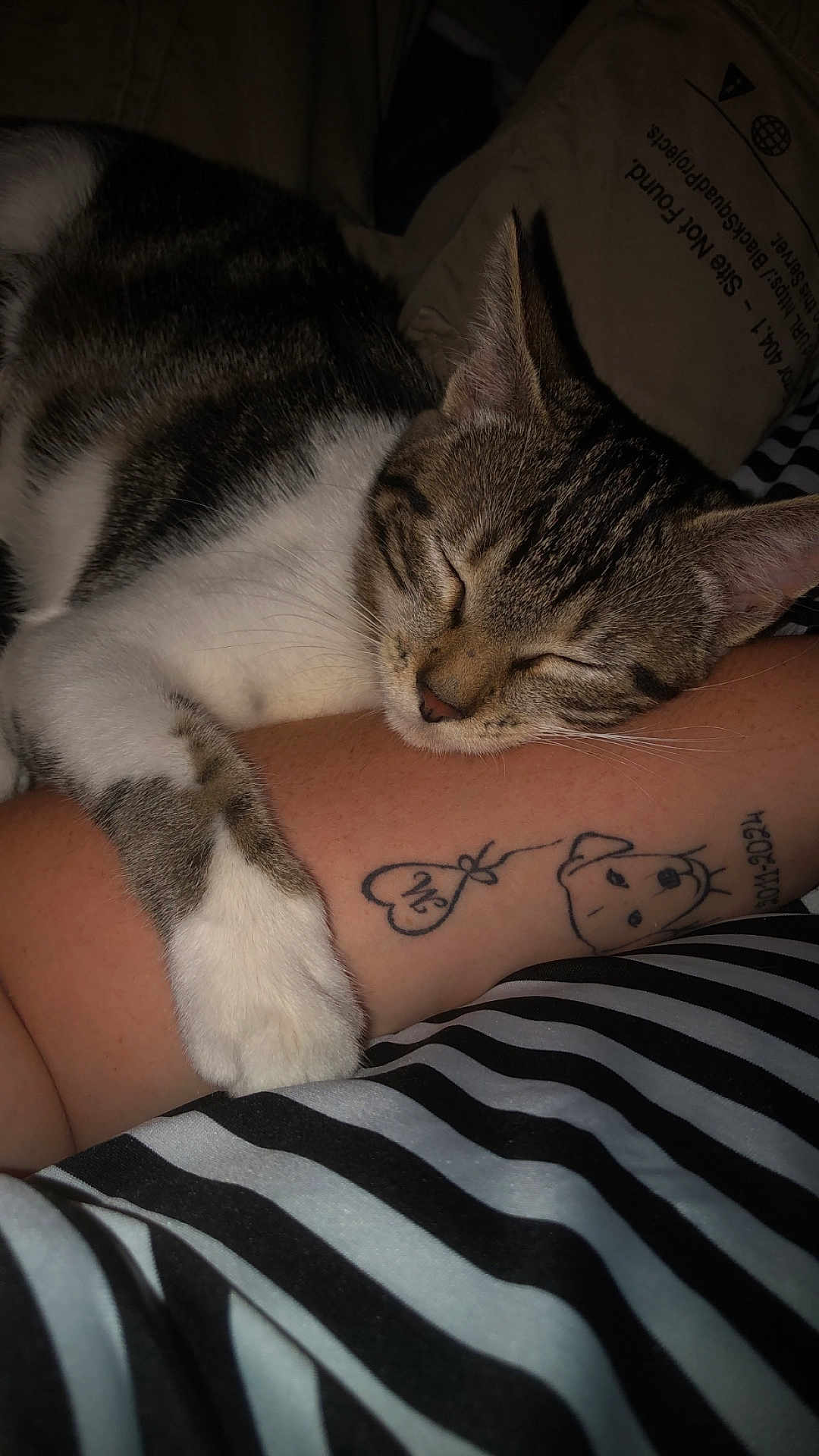 Rubi