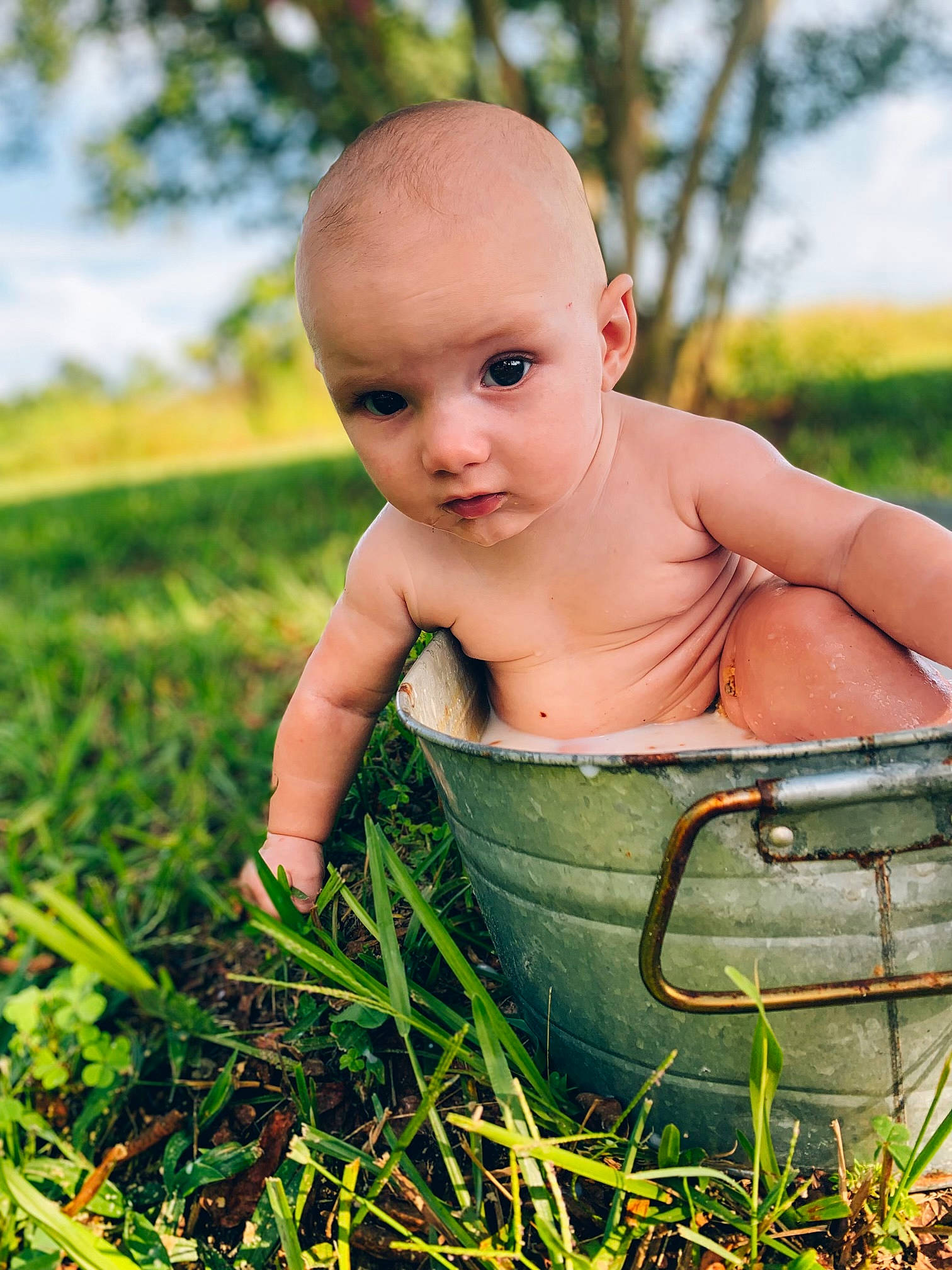 Grayson is registered to the contest to win money with this photo: baby, baby_toddler_clothing, cheek, child, eye, flash_photography, grass, grass_family, grassland, hand, happy, leisure, meadow, people_in_nature, person, plant, skin, sky, sunlight, toddler