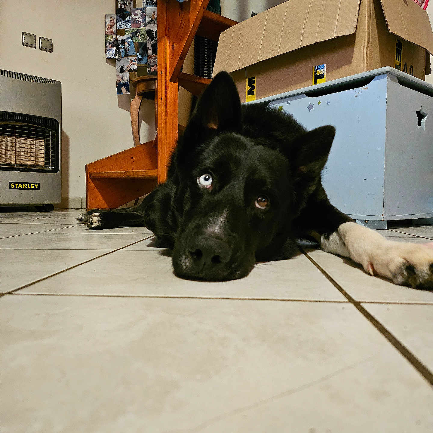 Baïko
