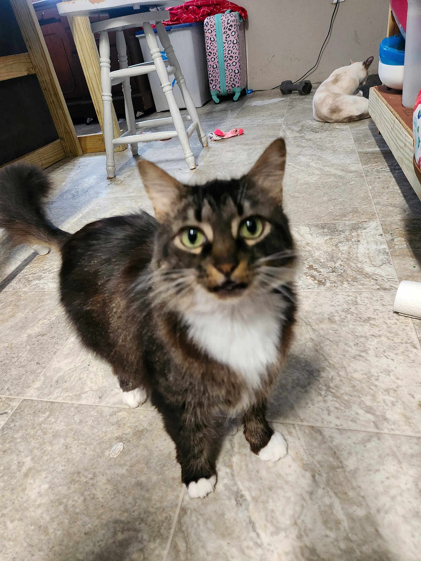 Penelope