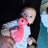 Blake joined the competition — help win amazing prizes! baby, infant, child, blue_eyes, stuffed_animal, flamingo, toy, onesie, adult_hand, watch, cuddle, portrait, indoor, blanket, plush, holding, gaze, arm, face, cute