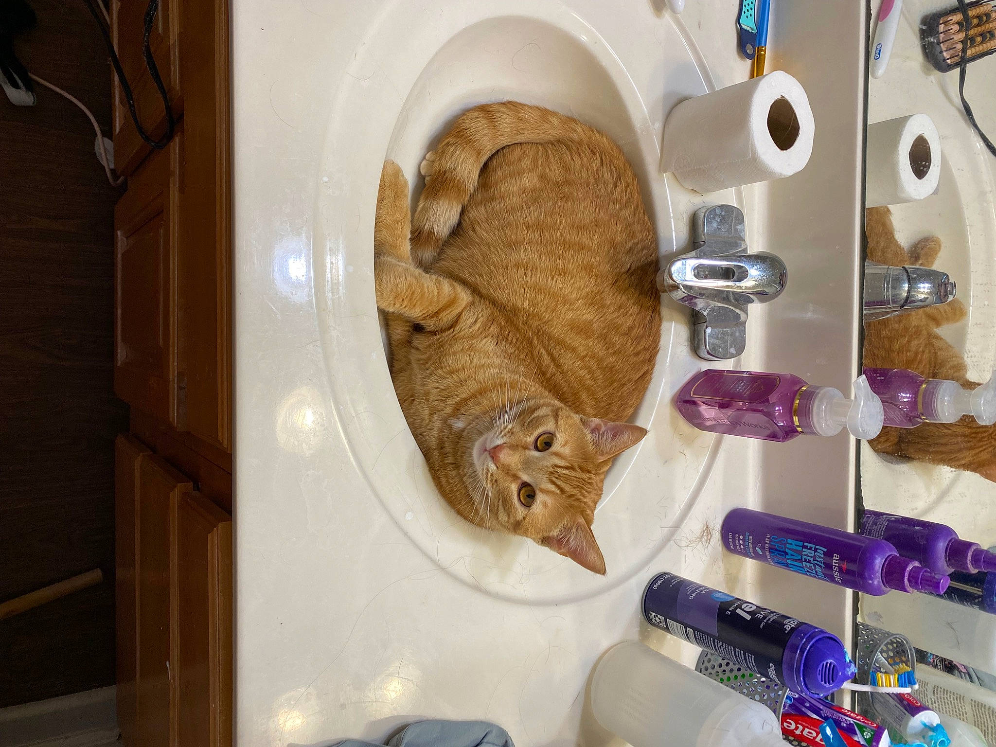 Leo