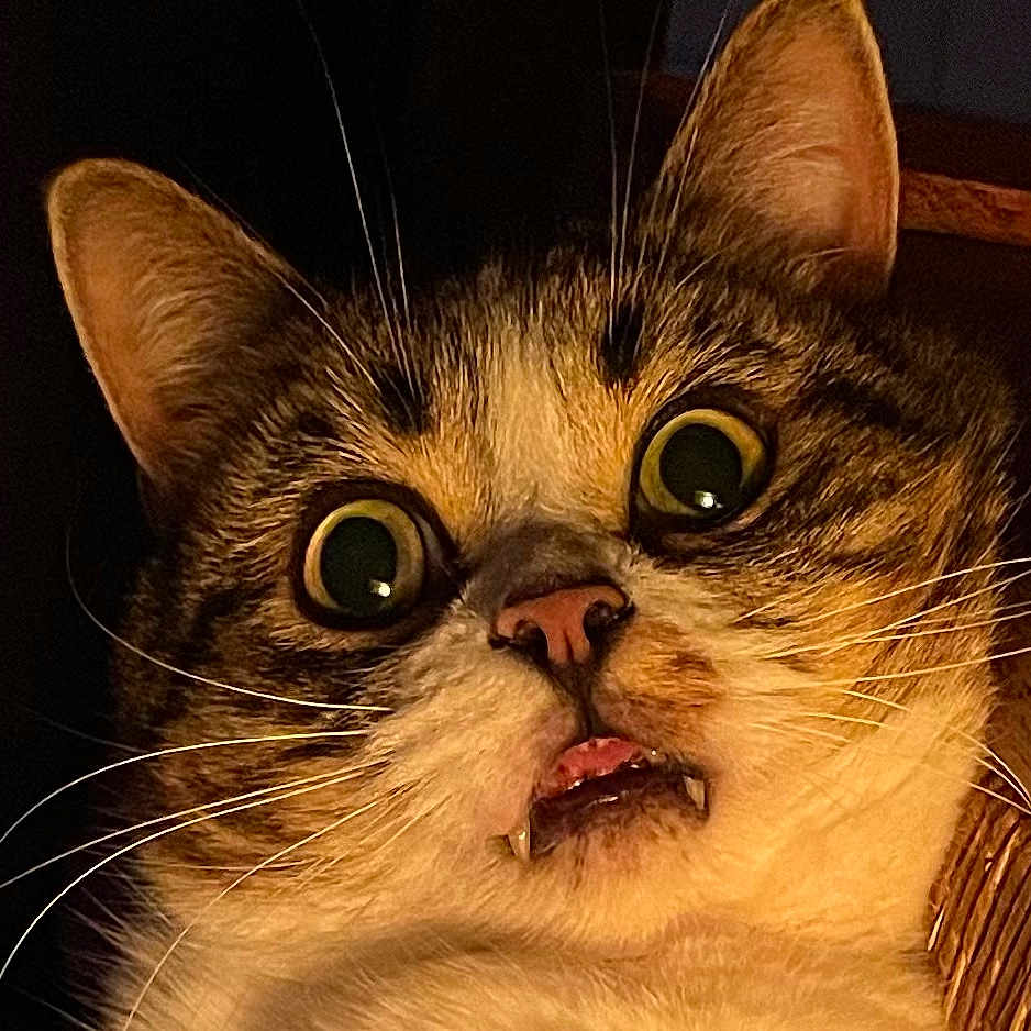 Luc