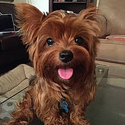 Royce is registered to the contest to win money with this photo: