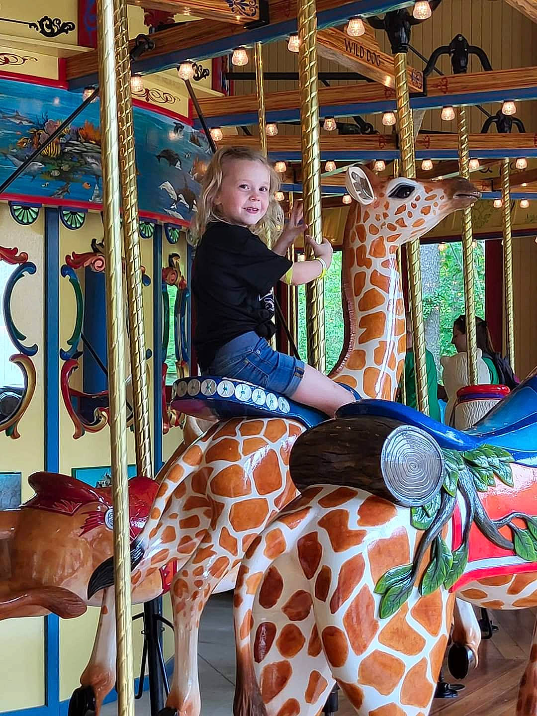 Layla joined the competition — help win amazing prizes! amusement_park, amusement_ride, carousel, child, event, fair, fun, giraffidae, joy, leisure, mammal, nonbuilding_structure, person, play, playground, public_space, recreation, room, snapshot, vacation