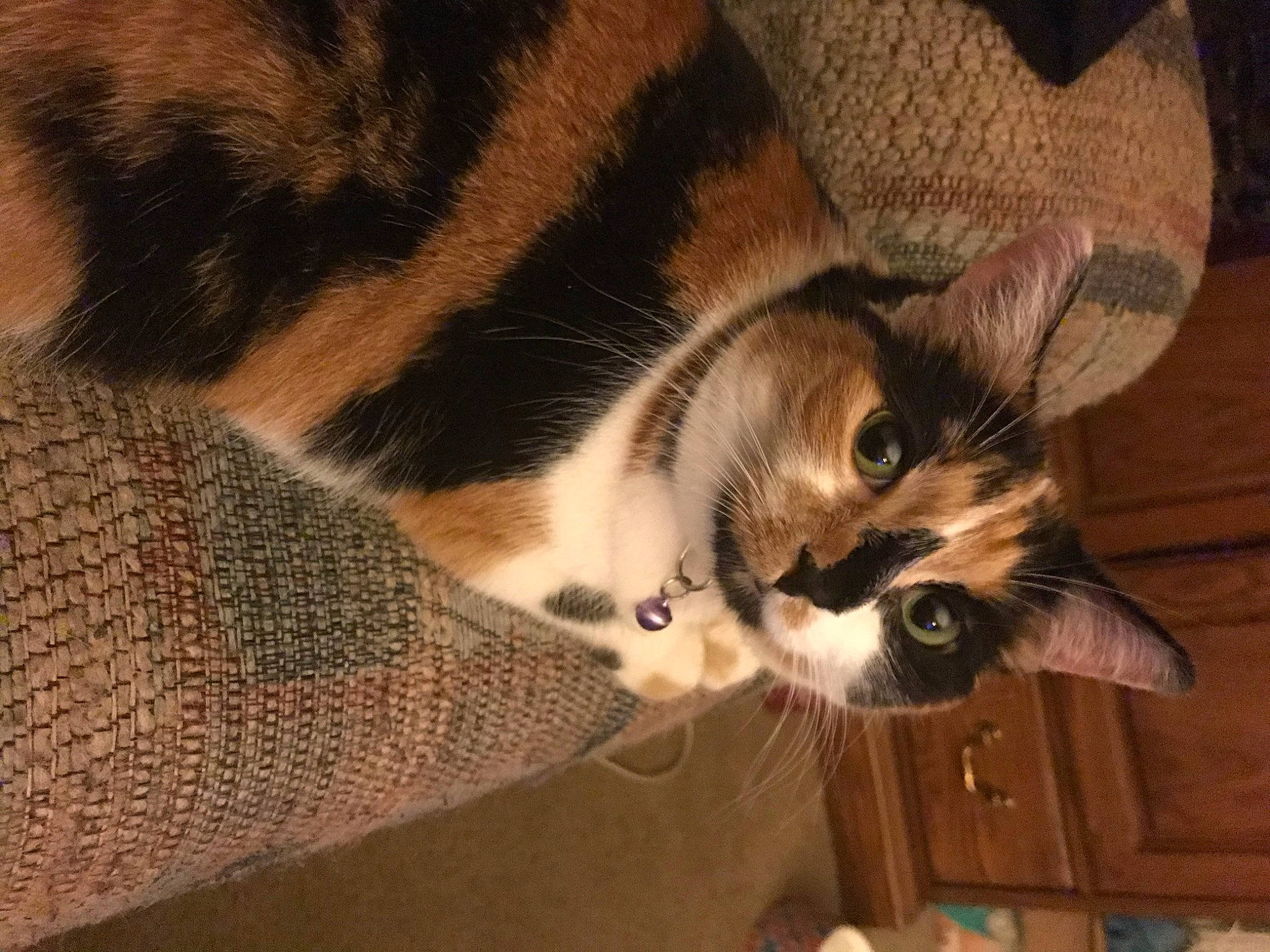 Zoey