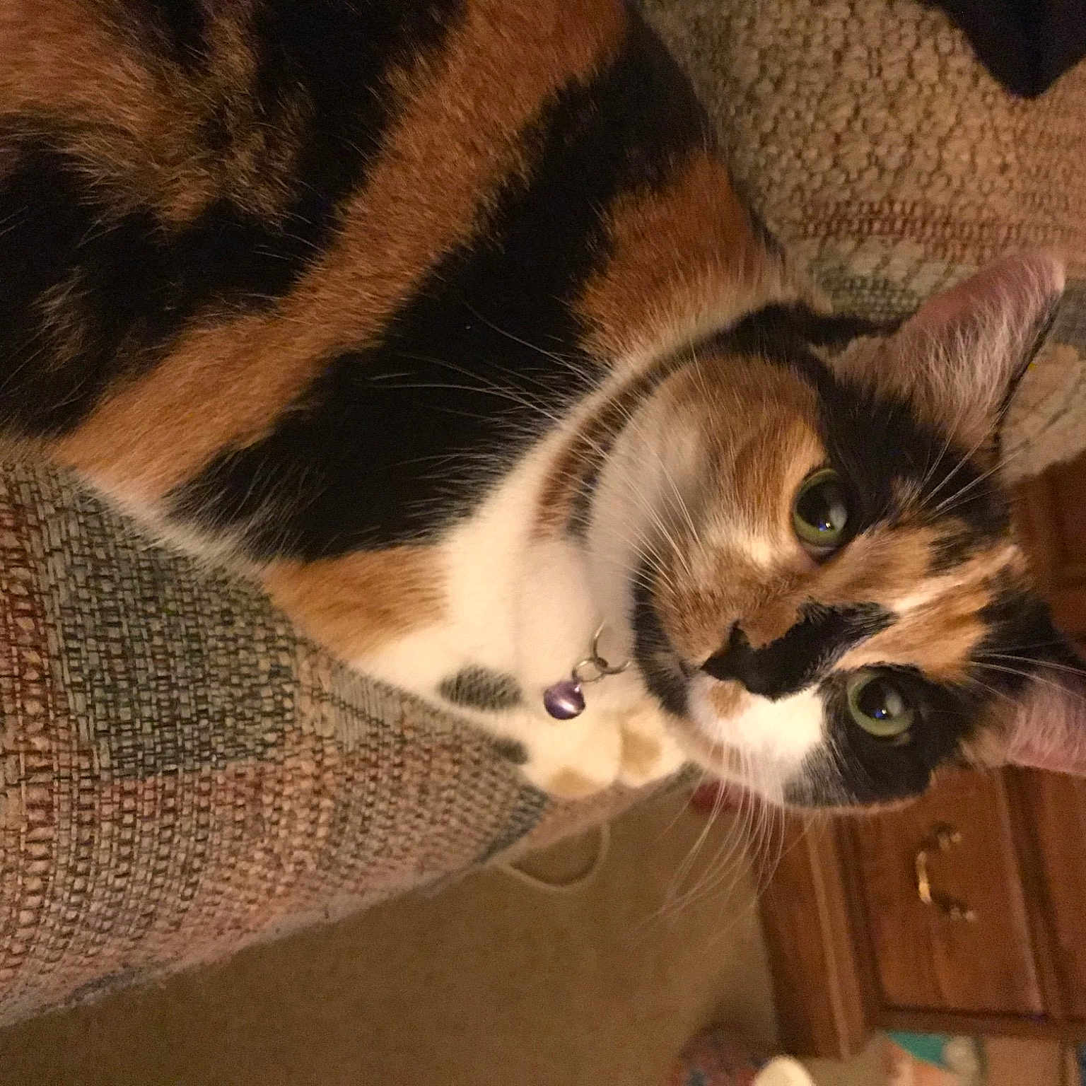 Zoey