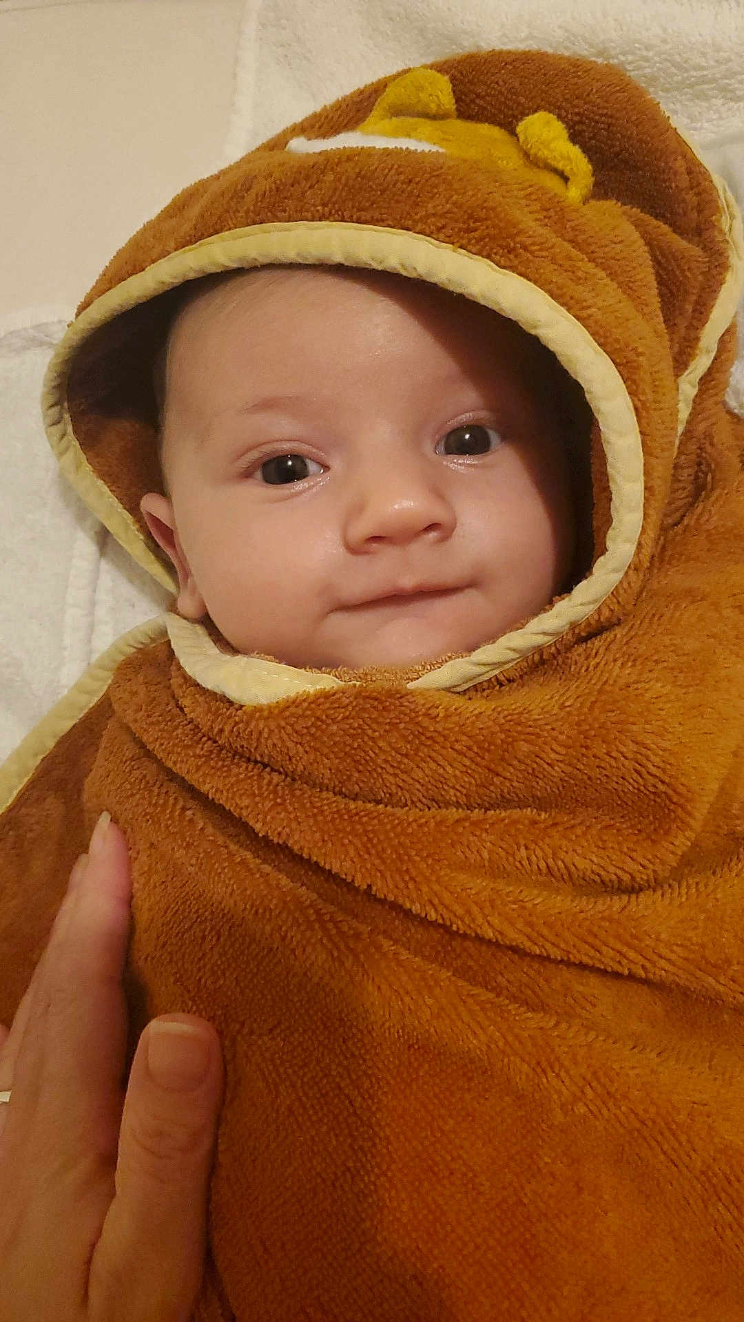 Robin participe au concours pour gagner de l'argent avec cette photo : baby, child, towel, hooded_towel, brown, soft_texture, face, eyes, smile, hand, cute, infant, portrait, wrapped, warm, indoor, person, newborn, cozy, baby_clothing