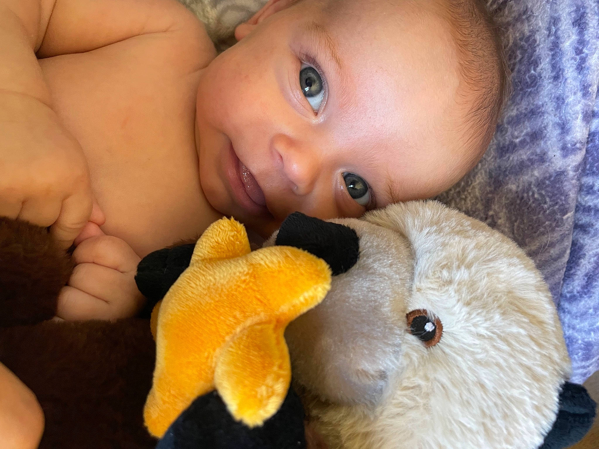 Brodie is registered to the contest to win money with this photo: baby, cheek, eye, eyebrow, eyelash, fawn, finger, gesture, happy, head, iris, lip, nail, nose, organ, person, skin, thumb, toddler, toy