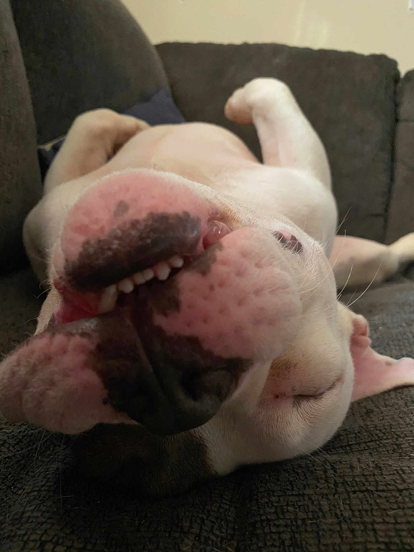 Rambo
