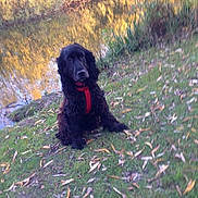 Happy participe au concours pour gagner de l'argent avec cette photo :