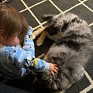 Marble is registered to the contest to win money with this photo: baby, child, infant, dog, puppy, pet, fluffy, fur, hand, petting, pajamas, blue_pajamas, carpet, rug, indoor, home, cozy, sleepy, laying_down, cute