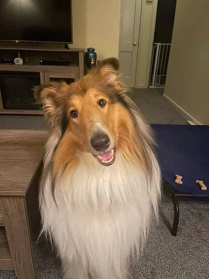 Finn