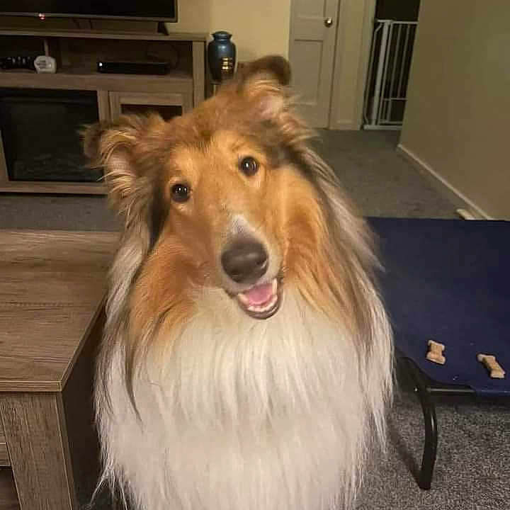 Finn