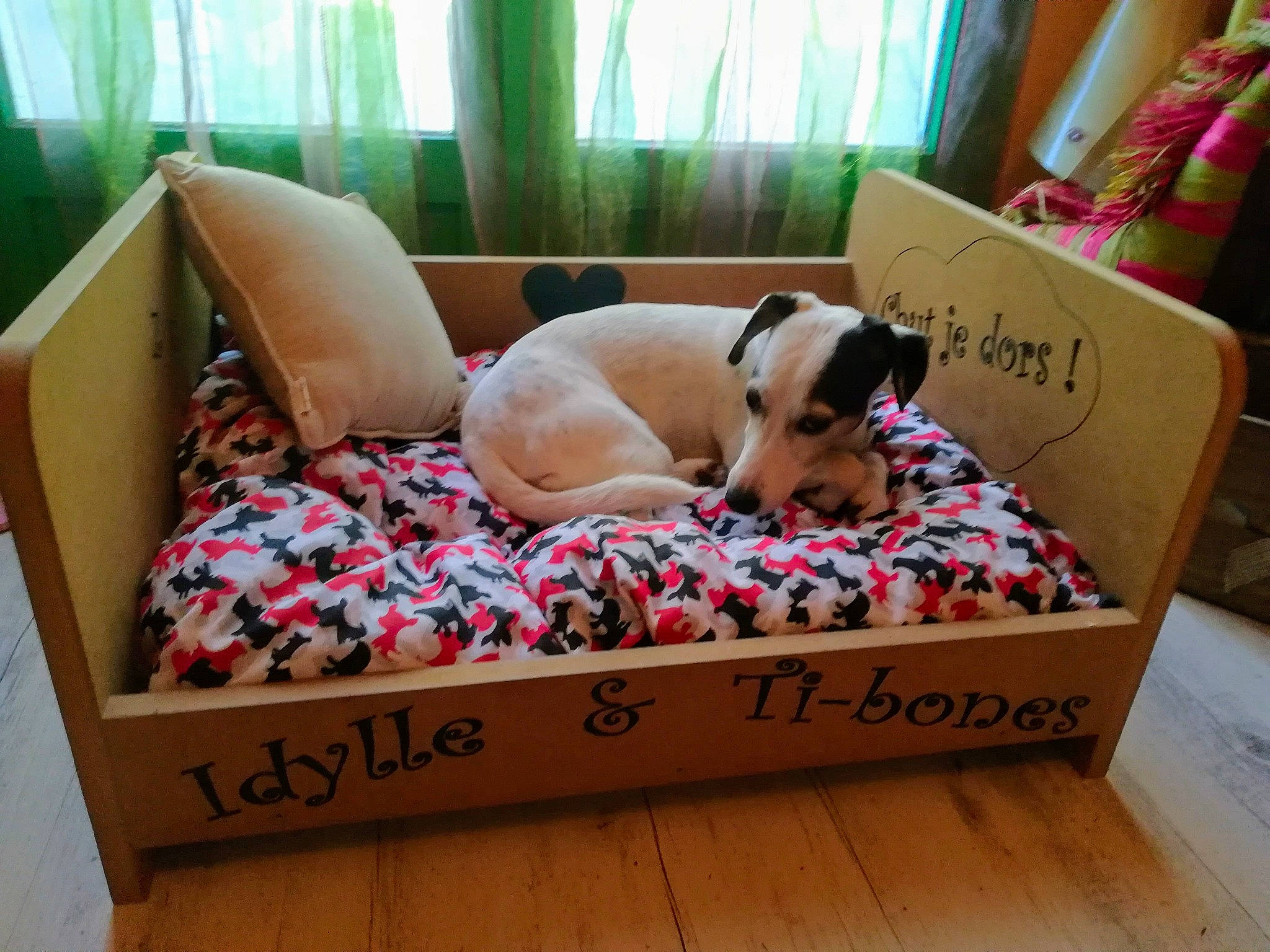 Idylle participe au concours pour gagner de l'argent avec cette photo : box, canidae, cardboard, carnivore, carton, comfort, companion_dog, dog, dog_breed, dog_supply, fawn, hardwood, packaging_and_labeling, pet_supply, snout, sporting_group, tan, window_covering, window_treatment, working_animal