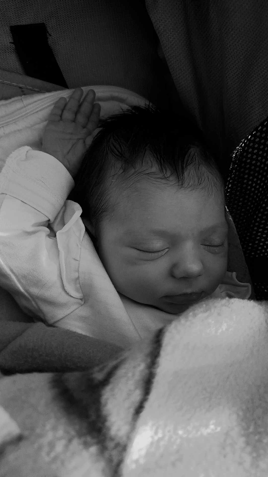 Olga a rejoint le concours — aidez-le/la à gagner de superbes lots ! baby, newborn, sleeping, infant, face, hand, blanket, swaddle, portrait, monochrome, closeup, peaceful, hair, eyelashes, cheek, nose, mouth, fabric, seat, resting