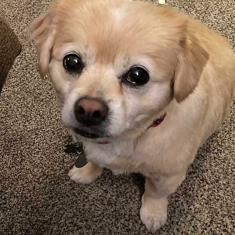 Marley