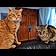 Moustache Et Fifi