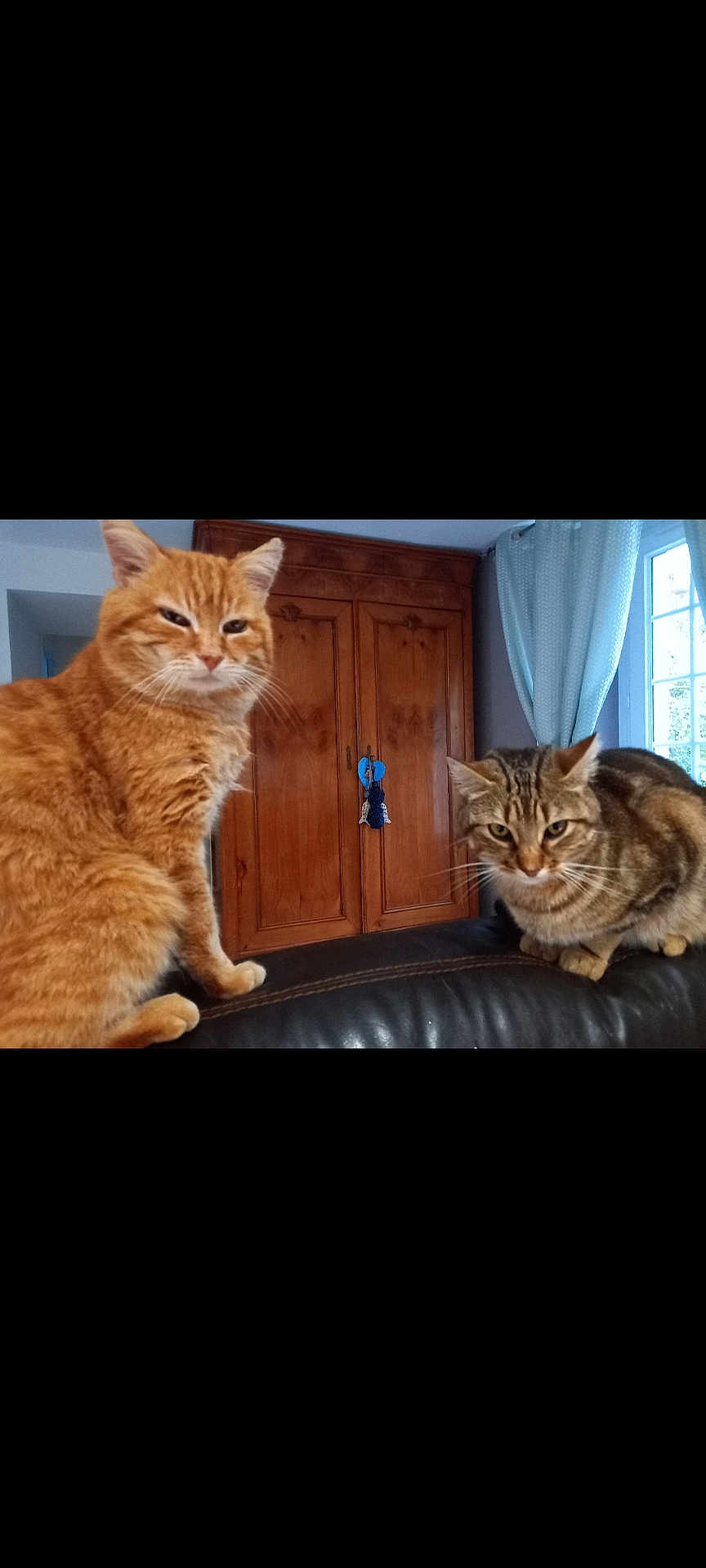 Moustache Et Fifi