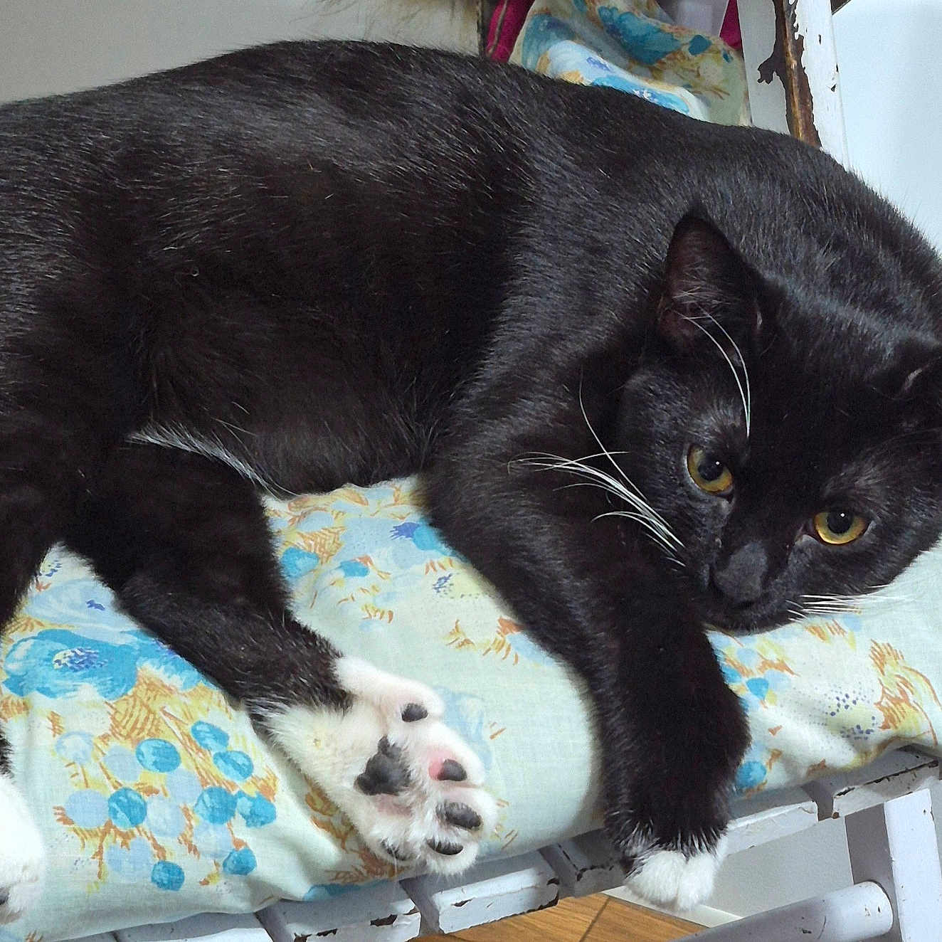 Tux