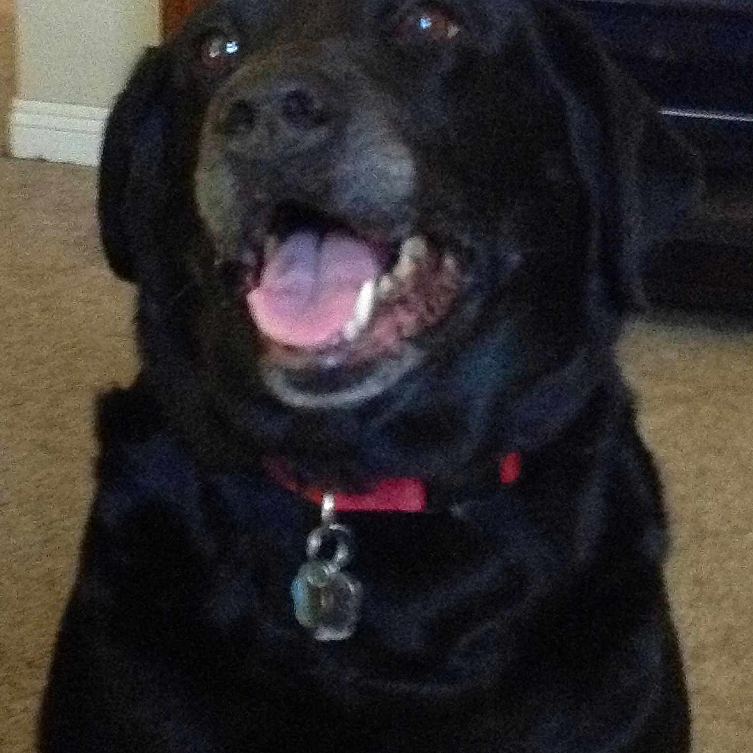 Lady is registered to the contest to win money with this photo: