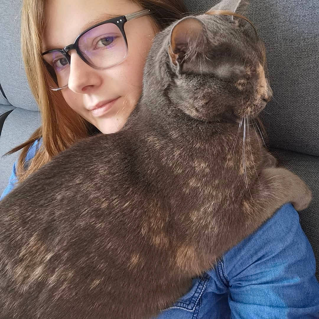 Kina participe au concours pour gagner de l'argent avec cette photo : asian, carnivore, cat, domestic_short_haired_cat, ear, eye, eyewear, felidae, fur, glasses, hair, long_hair, mammal, selfie, small_to_medium_sized_cats, tonkinese, whiskers
