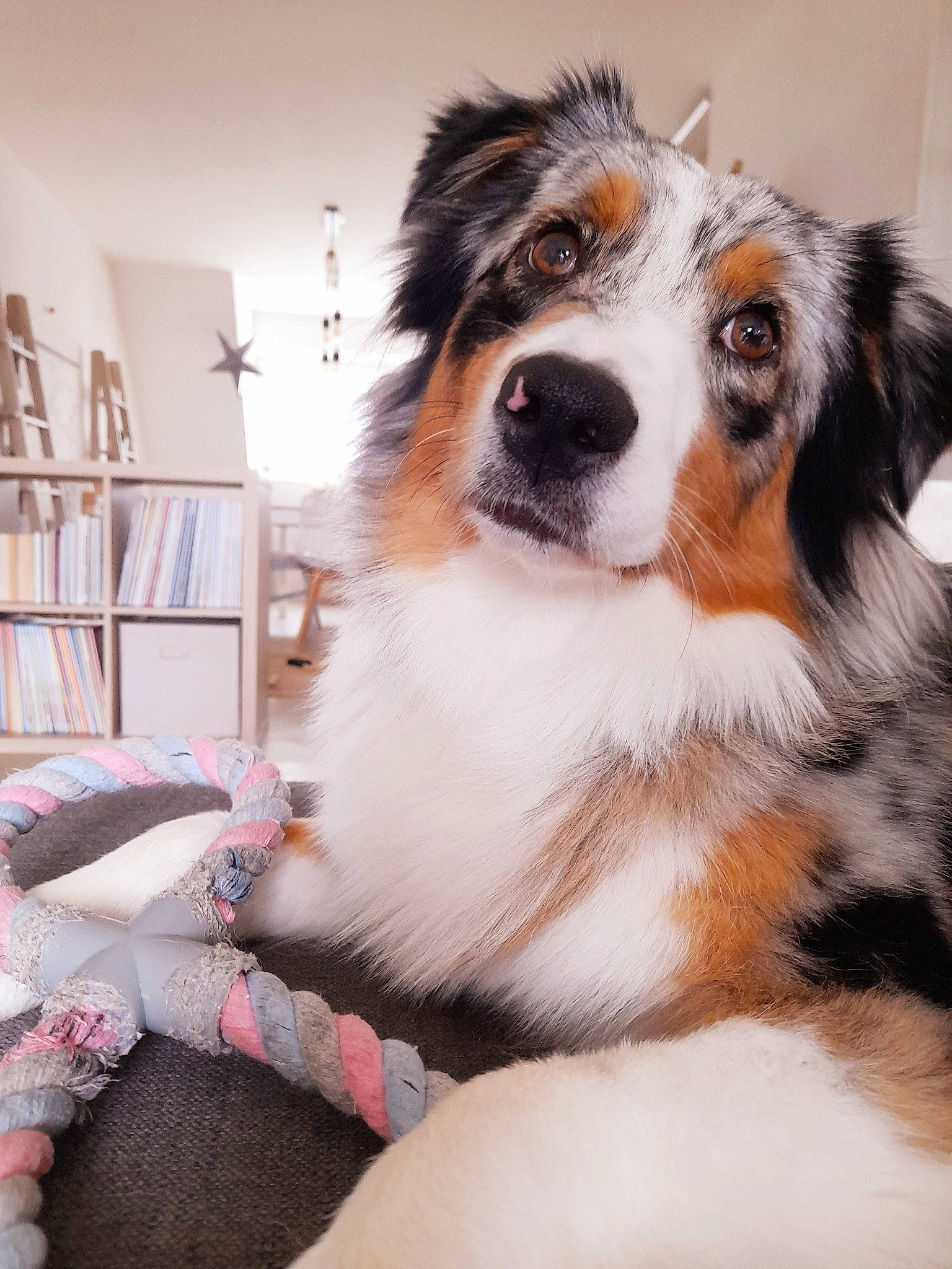 Floppy