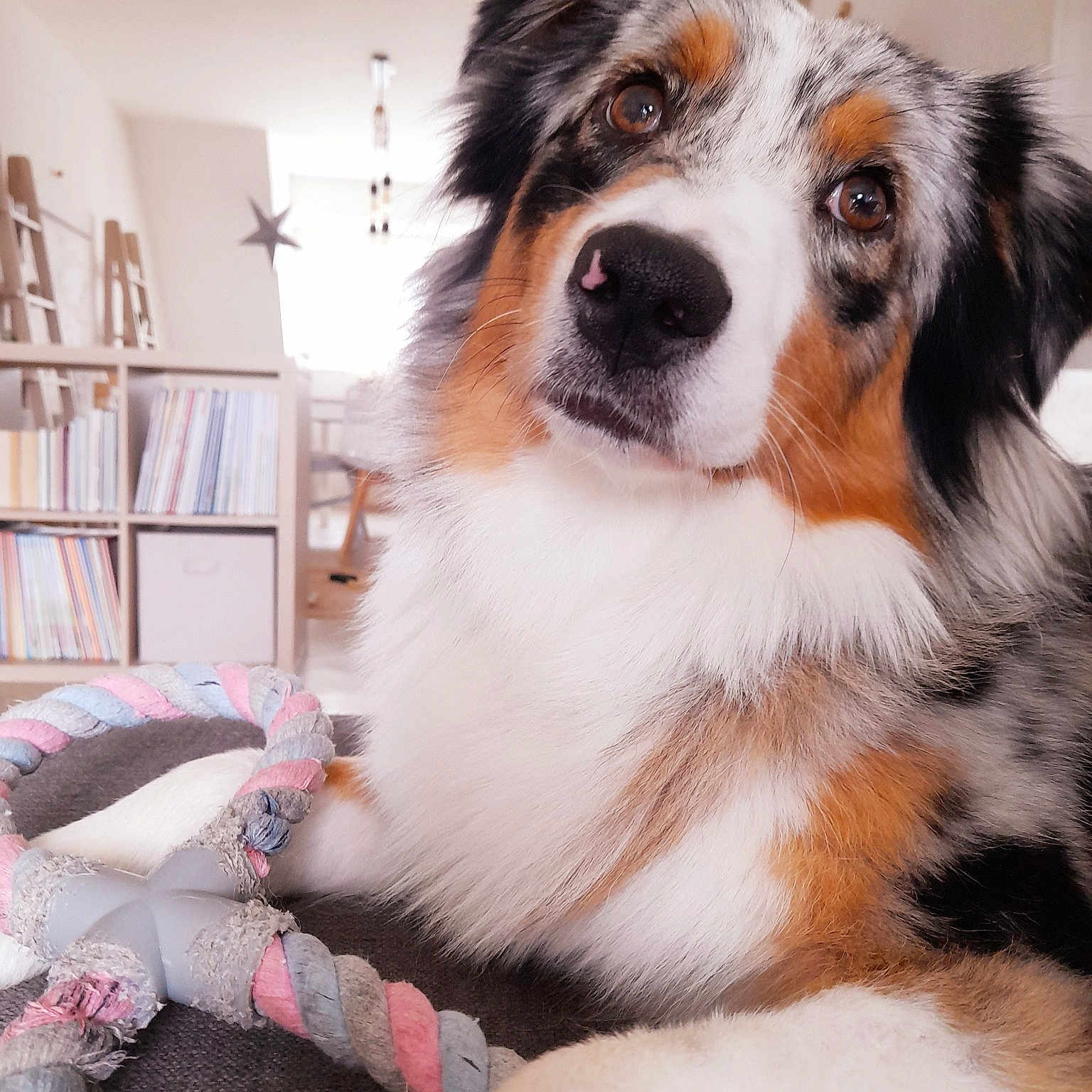 Floppy