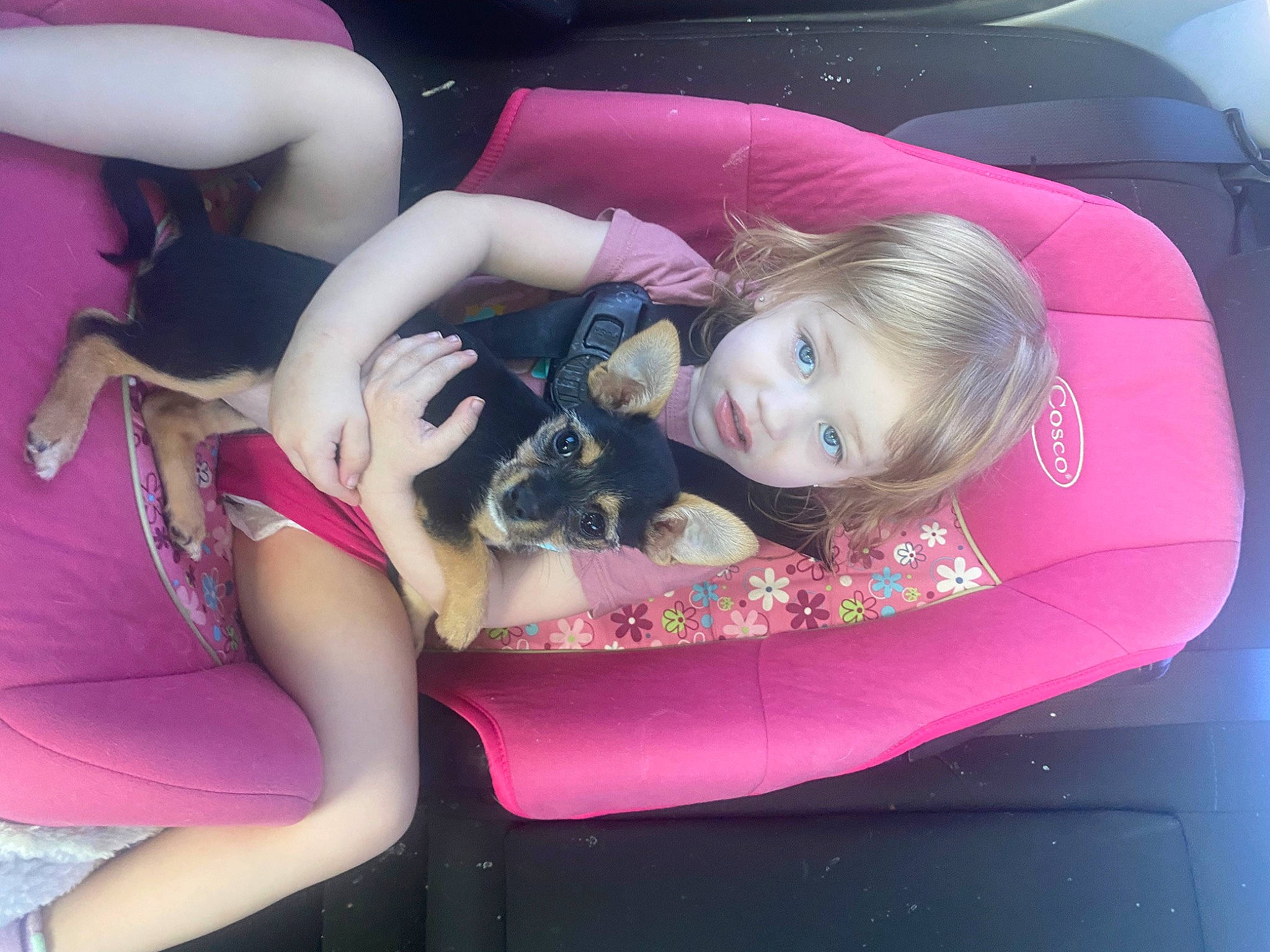 Everleigh is registered to the contest to win money with this photo: automotive_exterior, automotive_lighting, black_hair, car_seat_cover, comfort, flash_photography, hairstyle, happy, human_leg, lap, long_hair, magenta, motor_vehicle, person, personal_luxury_car, pink, skin, smile, textile, thigh