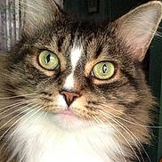 Lacey is registered to the contest to win money with this photo:
