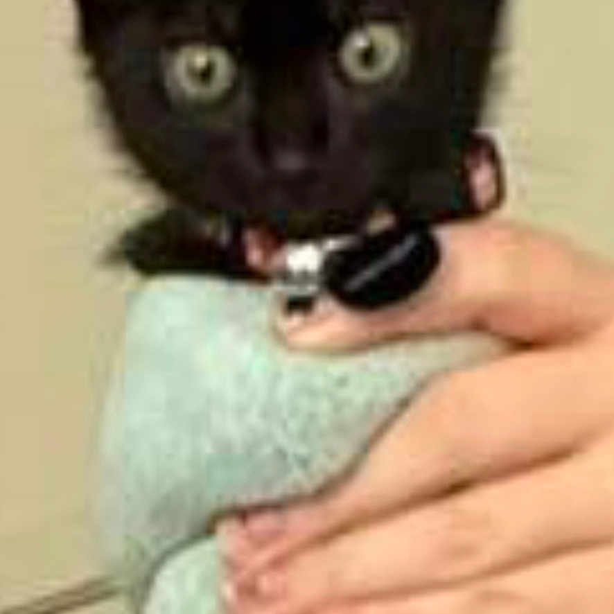 Salem