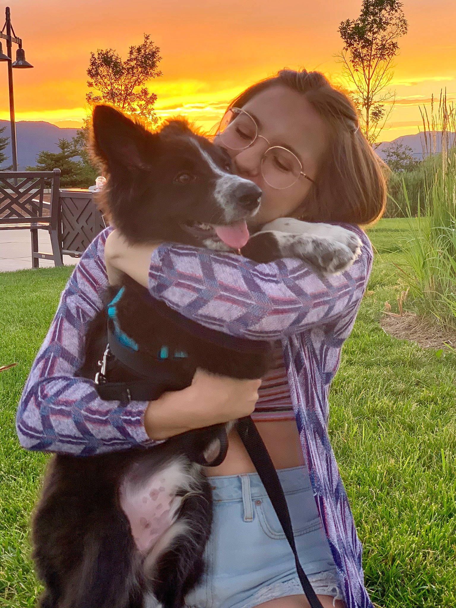 Nimbus joined the competition — help win amazing prizes! canidae, carnivore, companion_dog, dog, dog_breed, fawn, happy, hug, love, mammal, vertebrate