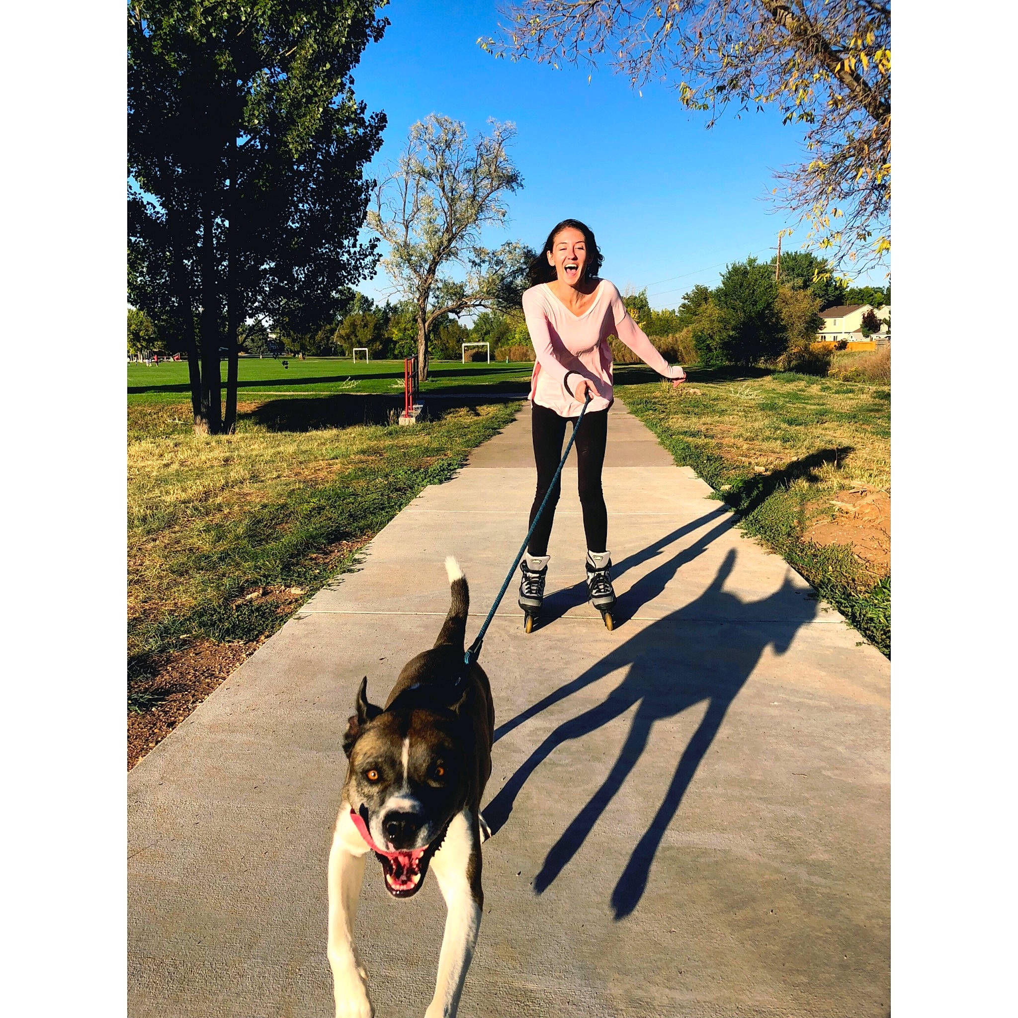 Sully is registered to the contest to win money with this photo: dog, dog_like_mammal, dog_walking, leash, person, recreation, shoe, tree, walking