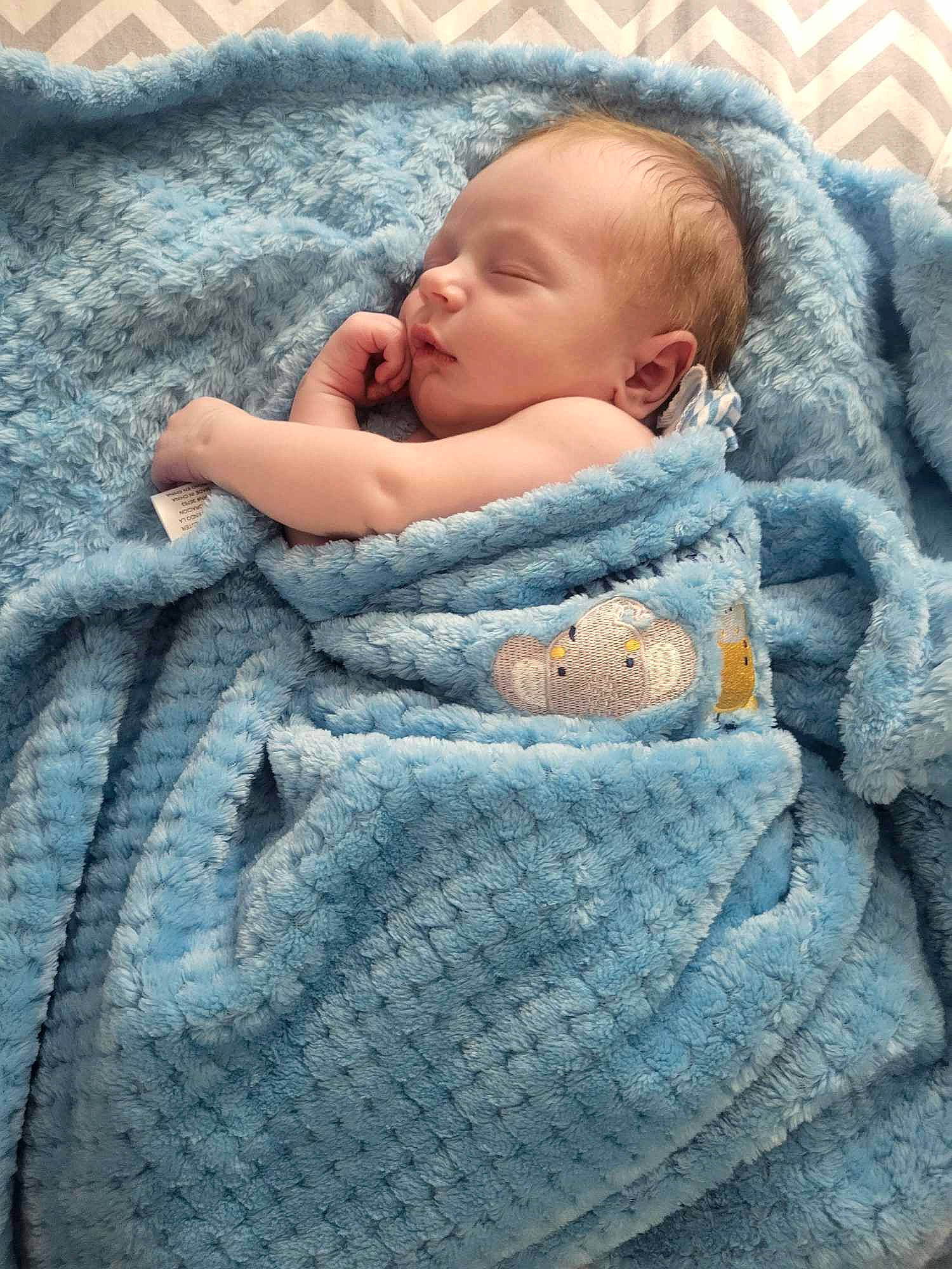 Hoss joined the competition — help win amazing prizes! baby, baby_toddler_clothing, bedtime, cheek, child, comfort, electric_blue, face, fur, grey, linens, pattern, person, sitting, skin, sleep, sleeve, textile, toddler, winter