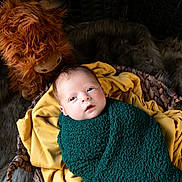 Leland is registered to the contest to win money with this photo: animal, baby, bear, bed, blanket, canine, child, clothing, couch, dog, face, female, furniture, girl, head, newborn, person, pet, photography, portrait