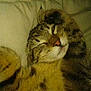 Kaline participe au concours pour gagner de l'argent avec cette photo :