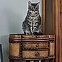 cat, tabby_cat, feline, pet, sitting, wooden_table, antique_furniture, cabinet, indoor, portrait, paws, whiskers, ears, green_eyes, fur, stool, home_interior, vertical_composition, brown_wood, wall