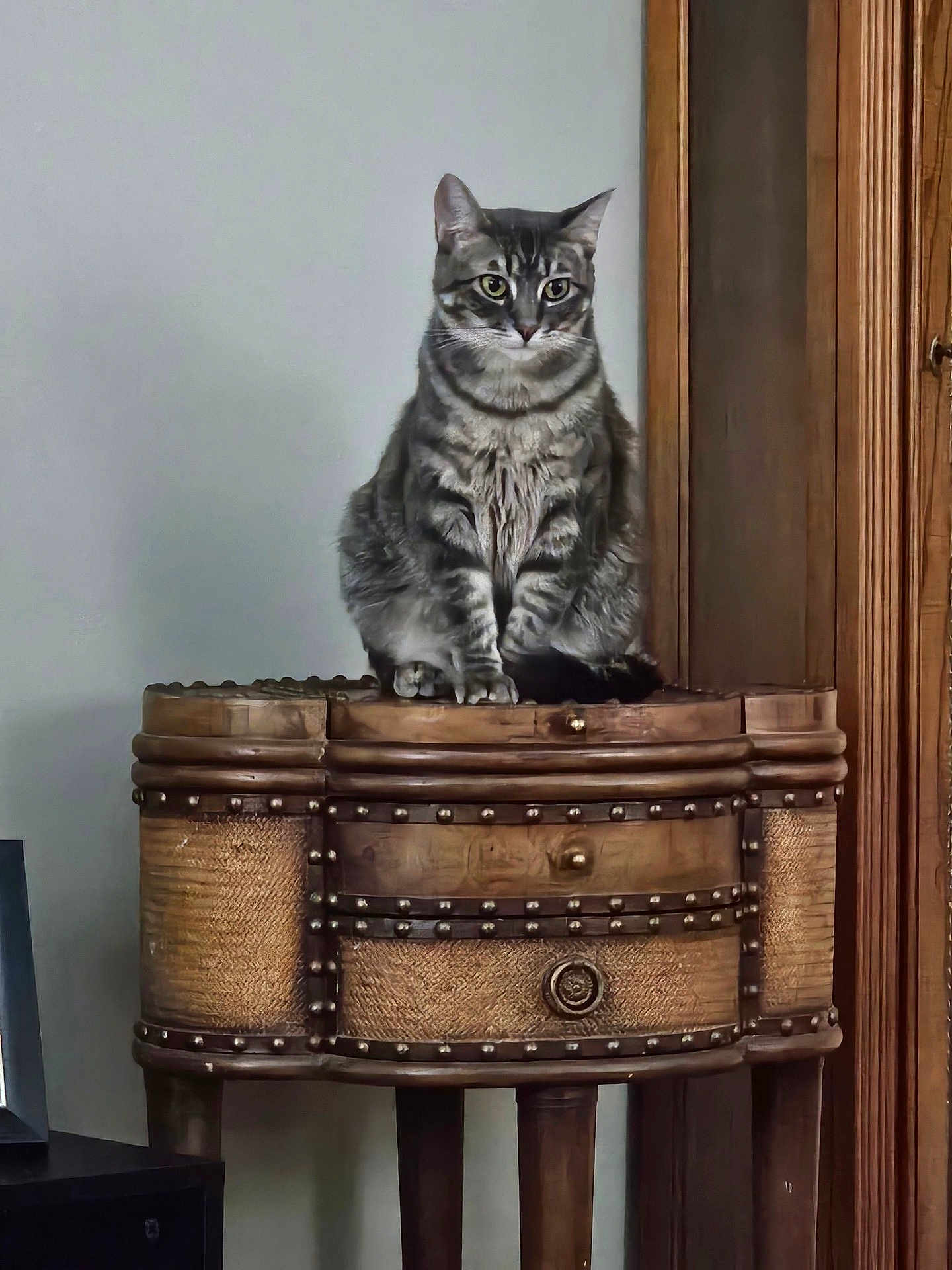 Spike is registered to the contest to win money with this photo: cat, tabby_cat, feline, pet, sitting, wooden_table, antique_furniture, cabinet, indoor, portrait, paws, whiskers, ears, green_eyes, fur, stool, home_interior, vertical_composition, brown_wood, wall