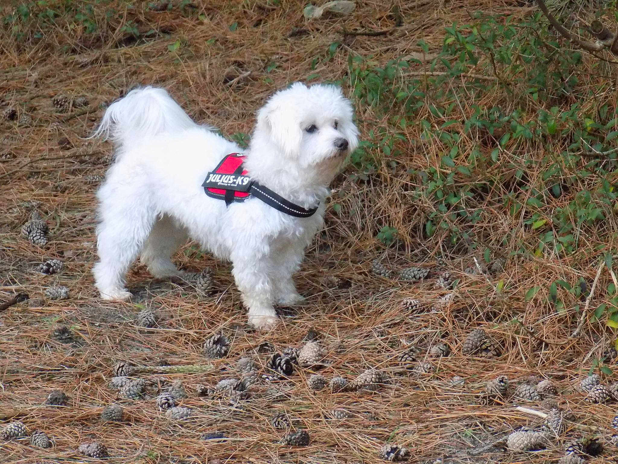 Casper