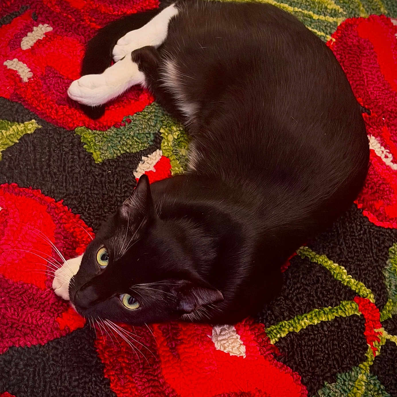 Penelope