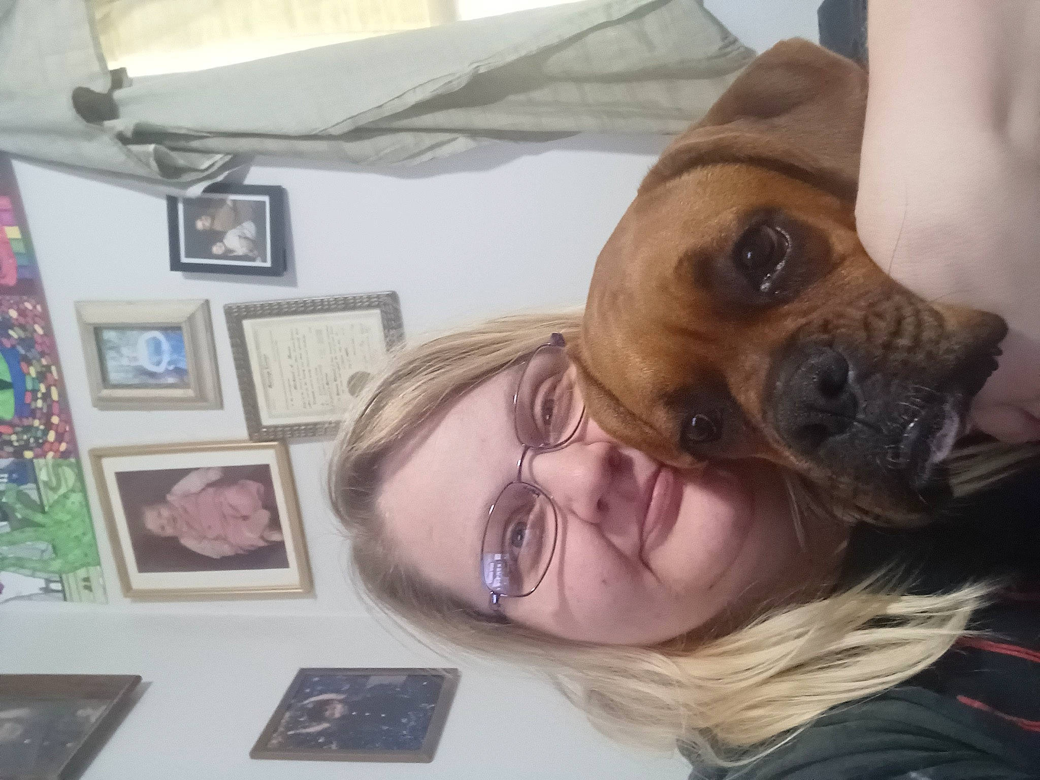 Ginger is registered to the contest to win money with this photo: carnivore, comfort, companion_dog, dog, dog_breed, ear, eyelash, eyewear, fawn, fun, happy, jaw, mouth, nose, picture_frame, smile, snapshot, throat, vision_care, working_animal