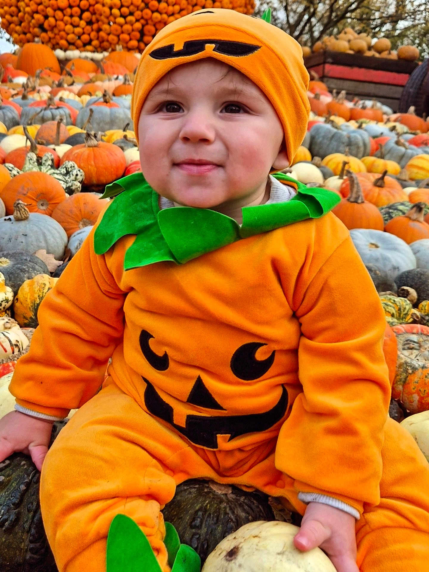 Jack is registered to the contest to win money with this photo: child, toddler, pumpkin_costume, orange, green, hat, face, autumn, fall, pumpkin_patch, gourds, outdoor, seasonal, cute, smiling, sitting, costume, holiday, festive, baby