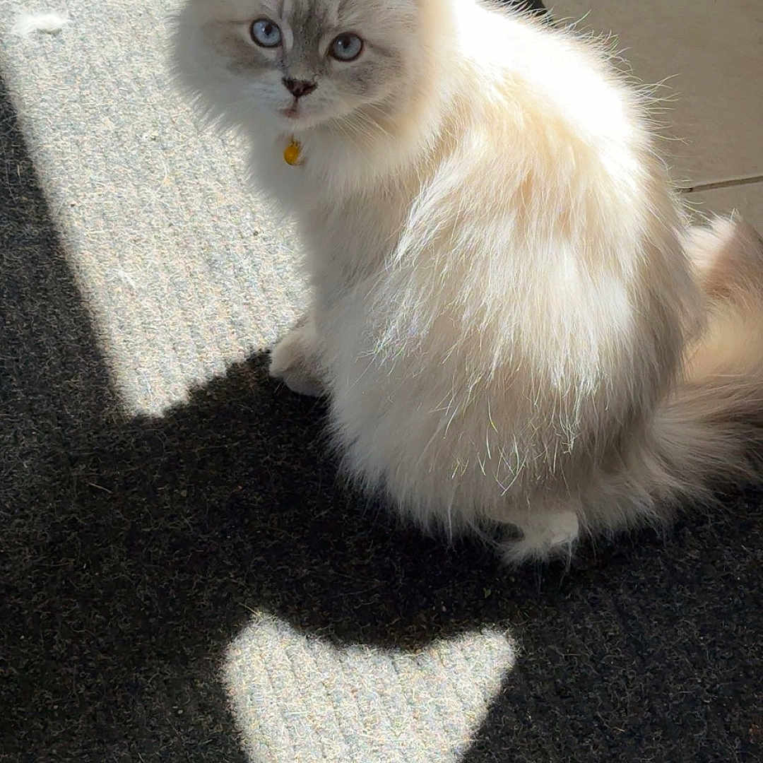 Daisy May