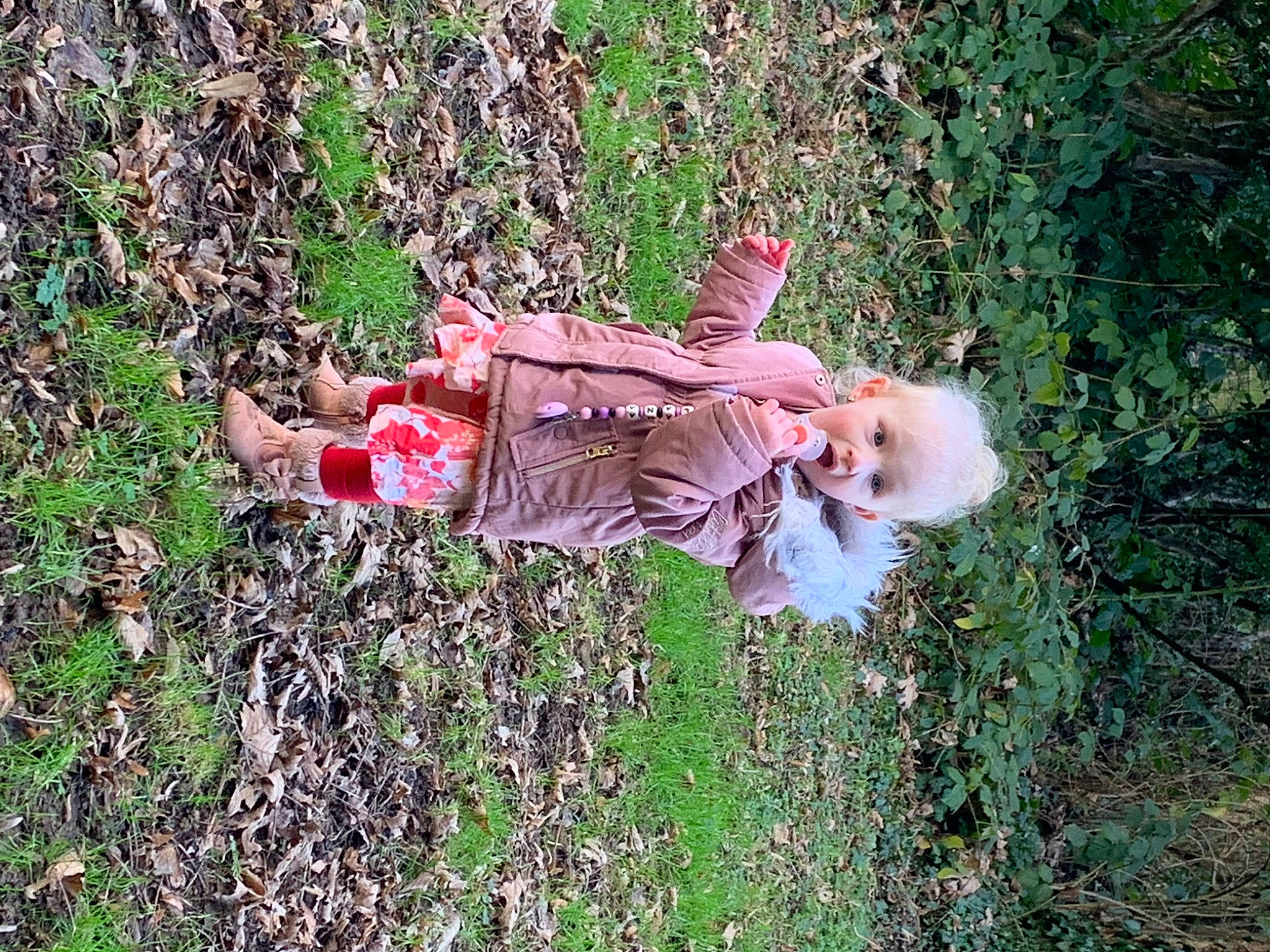 Lana participe au concours pour gagner de l'argent avec cette photo : baby, baby_toddler_clothing, botany, carmine, child, fun, grass, grass_family, groundcover, happy, people_in_nature, person, plant, shrub, sitting, soil, toddler, tree, vertebrate, walking_shoe