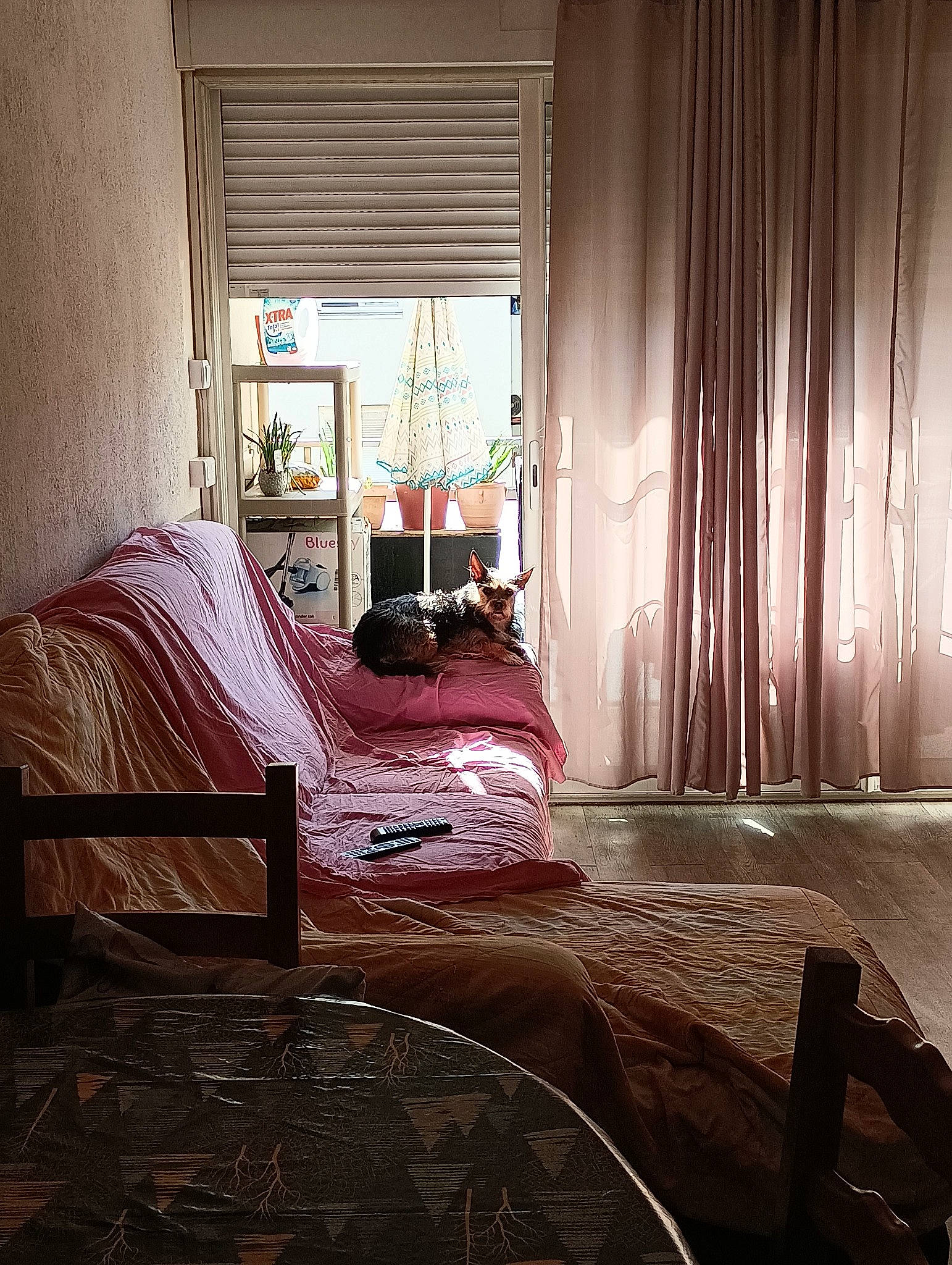 Nona a rejoint le concours — aidez-le/la à gagner de superbes lots ! bed_frame, bedroom, building, comfort, curtain, floor, flooring, furniture, hardwood, house, interior_design, linens, living_room, property, shade, sunlight, textile, tints_and_shades, urban_area, wood