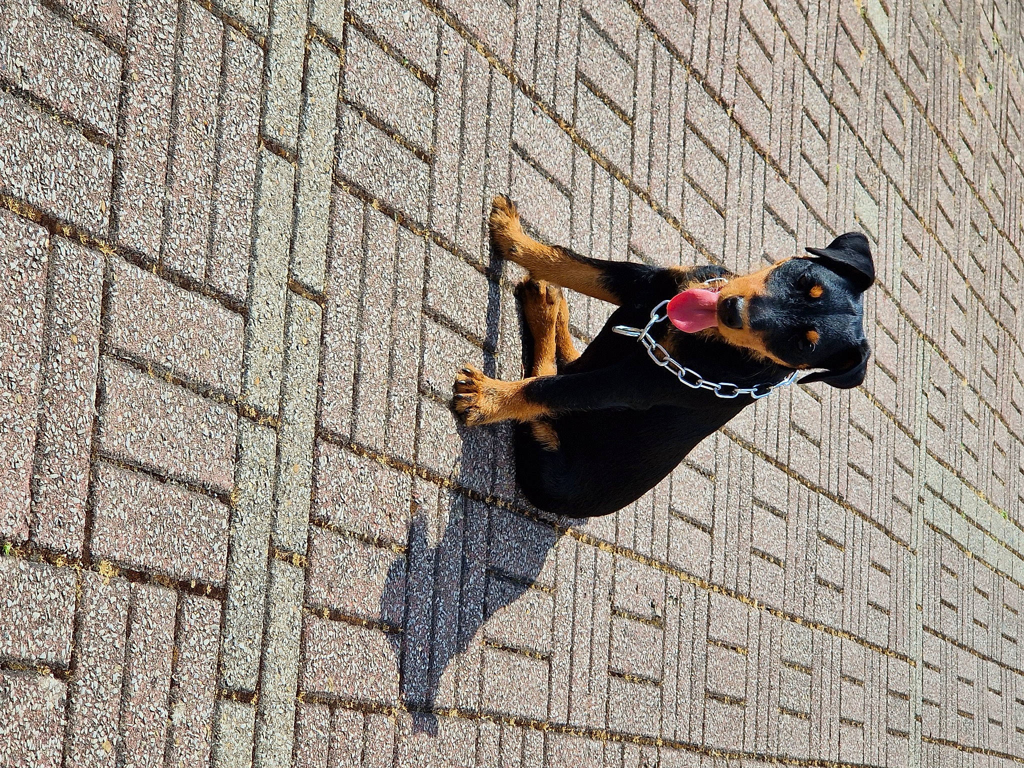 Uguette a rejoint le concours — aidez-le/la à gagner de superbes lots ! adventure, concrete, extreme_sport, flooring, leisure, mesh, outdoor_shoe, pattern, recreation, road_surface, rope, shadow, sports, walking_shoe, wall